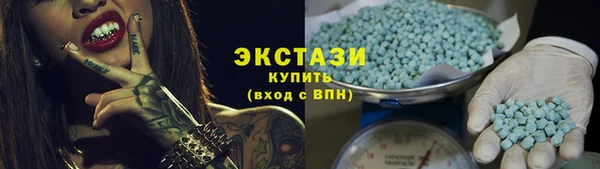 ECSTASY Богданович