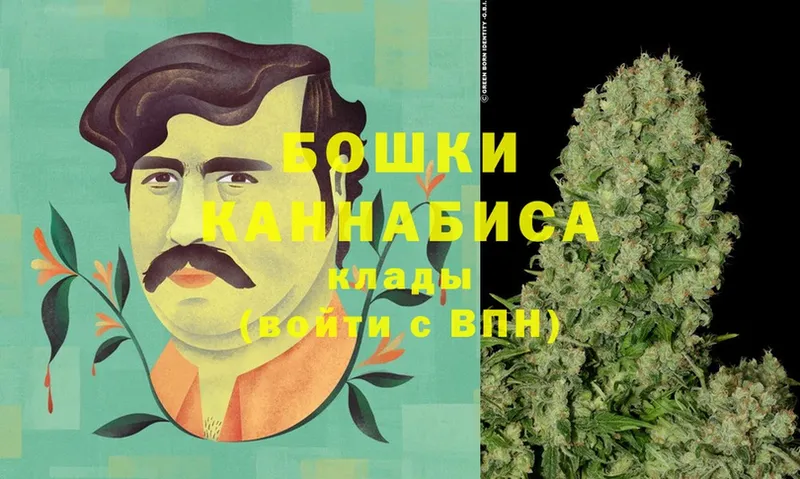 Каннабис OG Kush  как найти   Зерноград 